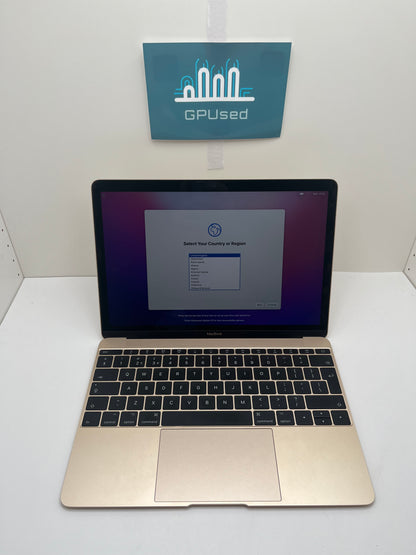 Macbook 10,1 (2017) Rose Gold Laptop